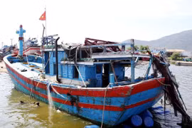 Chính sách nhất quán của Việt Nam là tôn trọng các quyền công dân