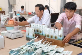 Đóng gói hạt tiêu xuất khẩu. (Ảnh: Danh Lam/TTXVN)