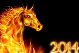 Đại sứ quán Việt Nam tại New Zealand mừng Xuân 