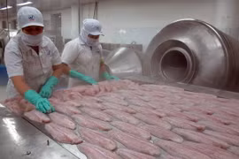 Sản phẩm cá tra philê tại Công ty cổ phần chế biến và đông lạnh Việt An, tỉnh An Giang. (Ảnh: Phương Vy/TTXVN)