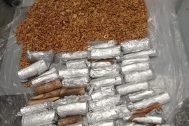 Phát hiện 59 ngà voi nhập khẩu trái phép qua sân bay Tân Sơn Nhất