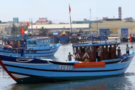 Ngư dân Đà Nẵng: Thuyền là nhà, ngư trường là quê hương