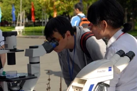 (Ảnh minh họa: Mạnh Linh/TTXVN)