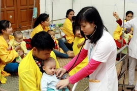 (Ảnh minh họa: Dương Ngọc/TTXVN)