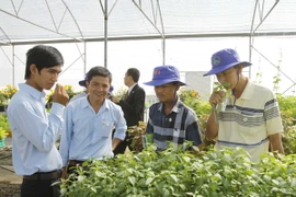 Thành phố Hồ Chí Minh khánh thành Trung tâm Giống rau hoa