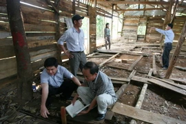 (Ảnh minh họa: Ngọc Hà/TTXVN)