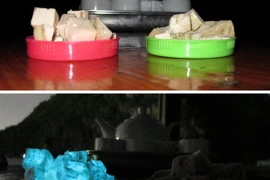 Quảng Ninh: Giò lụa phát sáng bất thường trong đêm