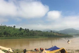 (Ảnh minh họa: TTXVN phát)