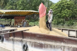 Kiến nghị Nhà nước tham gia dự trữ 10-12% sản lượng lúa gạo