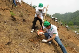 Honda Việt Nam tiếp tục triển khai dự án trồng rừng tại Bắc Kạn