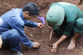 Quảng Trị: Tìm thấy 11 bộ hài cốt liệt sỹ trong vườn nhà dân