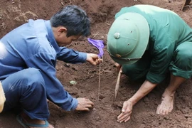 Quảng Trị: Tìm thấy 11 bộ hài cốt liệt sỹ trong vườn nhà dân