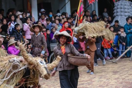 Sáng 28/1 (mùng 4 Tết Canh Tý), người dân xã Đại Đồng (Vĩnh Tường, Vĩnh Phúc) lại nô nức đi xem lễ hội cày bừa ngày xuân khởi động cho mùa lao động mới. (Ảnh: PV/Vietnam+)