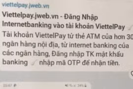 (Ảnh: PV/Vietnam+)