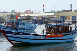 Ảnh minh họa. (Nguồn: TTXVN).
