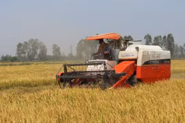 Ảnh minh họa. (Nguồn: Agribank).