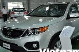 Ảnh minh họa. (Nguồn: TTXVN).