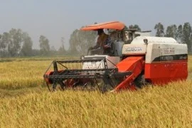 Ảnh minh họa. (Nguồn: Agribank).