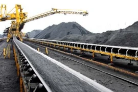 Ảnh minh họa. (Ảnh: Minh Đông/TTXVN).