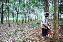 Ảnh minh họa. (Ảnh: Hồ Cầu/TTXVN).