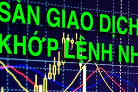 Kinh doanh ngoại hối trên sàn Forex là trái pháp luật