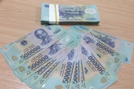 Hệ thống ngân hàng thương mại vẫn đang dư thừa tiền đồng