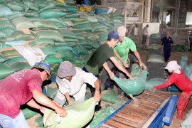 BIDV dành 1.000 tỷ đồng cho vay thu mua nông sản tại ĐBSCL