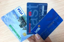 Ảnh minh họa. (Ảnh: T.G/Vietnam+).