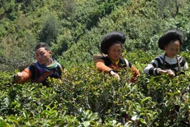 "Vốn do WB tài trợ được quản lý an toàn và sử dụng hiệu quả"