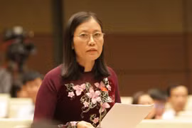 Đại biểu Quốc hội: Không vay ODA để chi thường xuyên 