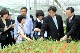 Thêm 2.370 tỷ đồng cho vay thí điểm nông nghiệp công nghệ cao 