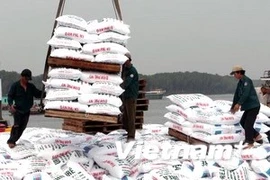 Ảnh minh họa. (Nguồn: TTXVN).