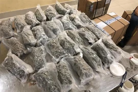 (Ảnh minh họa: TTXVN phát)