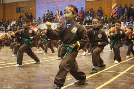 Toàn cảnh Hội diễn võ thuật cổ truyền Hà Nội lần thứ 31. (Ảnh: Ban tổ chức cung cấp)