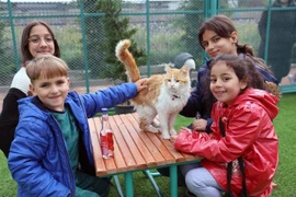 Trẻ em chơi cùng một chú mèo tại "Thị trấn mèo" ở tỉnh Kayseri, Thổ Nhĩ Kỳ ngày 21/7/2023. (Ảnh: THX/TTXVN)