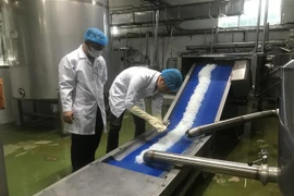 Nguyễn Việt Dũng, phó quản đốc phân xưởng phục vụ - phụ trợ, Công ty TNHH Long Hải, thành phố Hải Dương kiểm tra nhân dừa sau khi được tách tự động. (Ảnh: Tiến Vĩnh/TTXVN)