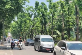(Ảnh: Huy Khánh/Vietnam+)