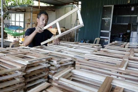 Có thêm vốn vay giải quyết việc làm, gia đình chị Vũ Thị Hương ở Nam Định có điều kiện mua máy móc làm khay, chậu mỹ nghệ, giá trồng rau xuất khẩu sang thị trường Mỹ, thu hút nhiều lao động ở địa phương. (Ảnh: Trần Việt/TTXVN)