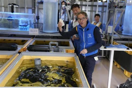 Tổng Giám đốc IAEA Rafael Grossi (phía trước) trong chuyến khảo sát nhà máy điện hạt nhân Fukushima ở Futaba, Nhật Bản ngày 5/7/2023. (Ảnh: AFP/TTXVN)