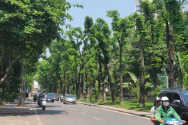 (Ảnh: Huy Khánh/Vietnam+)