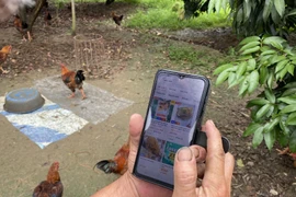 Những người lớn tuổi thường là các đối tượng dễ bị lừa đảo qua mạng. (Nguồn: Vietnam+)