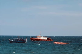 (Ảnh minh họa: TTXVN phát)