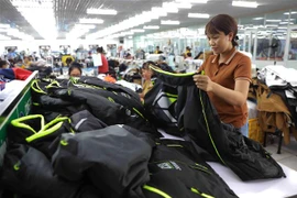 Sản xuất hàng may mặc xuất khẩu ở Công ty may Hiếu Lộc, xã Bình Định, huyện Kiến Xương. (Ảnh: Vũ Sinh/TTXVN)