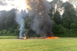 (Nguồn: Techno Trenz)