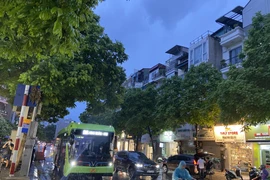 (Ảnh: Hà Lê/Vietnam+)