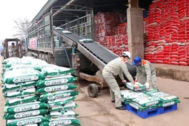 Công nhân Công ty Cổ phần Supe Phốt phát và Hóa chất Lâm Thao vận chuyển sản phẩm phân bón mới lên xe của khách hàng. (Ảnh: Trung Kiên/TTXVN)