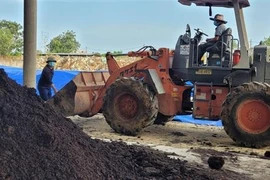 Với quy trình chăn nuôi tuần hoàn, trang trại nuôi lợn của Công ty TNHH Trang Linh, huyện Xuyên Mộc, Bà Rịa-Vũng Tàu giải được bài toán về chất thải sau chăn nuôi, có thêm nguồn thu nhập. (Ảnh: Hoàng Nhị/TTXVN)