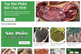 Khi người nông dân bán hàng trực tuyến: Khó khăn và giải pháp