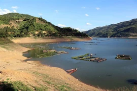 (Ảnh minh họa: Hữu Quyết/TTXVN)