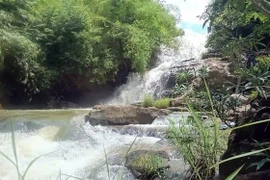 (Ảnh minh họa: Chu Quốc Hùng/TTXVN)